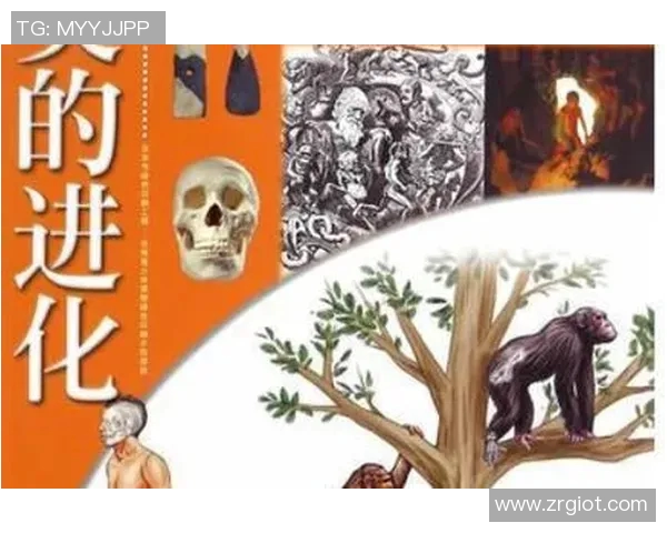 《探索人类历史上的突破性成就与世界纪录的奇迹》