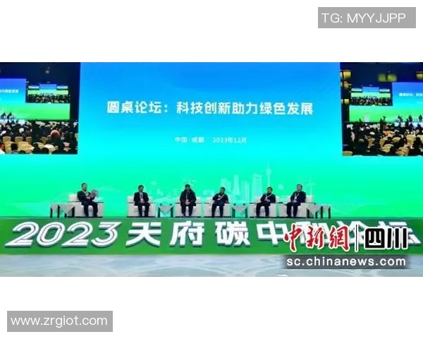 广州攀岩队转型升级之路探索与实践的深度剖析与展望