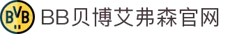 中国·BB贝博艾弗森(股份)有限公司-官方网站